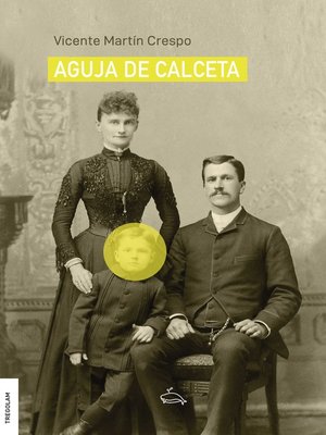 cover image of Aguja de calceta